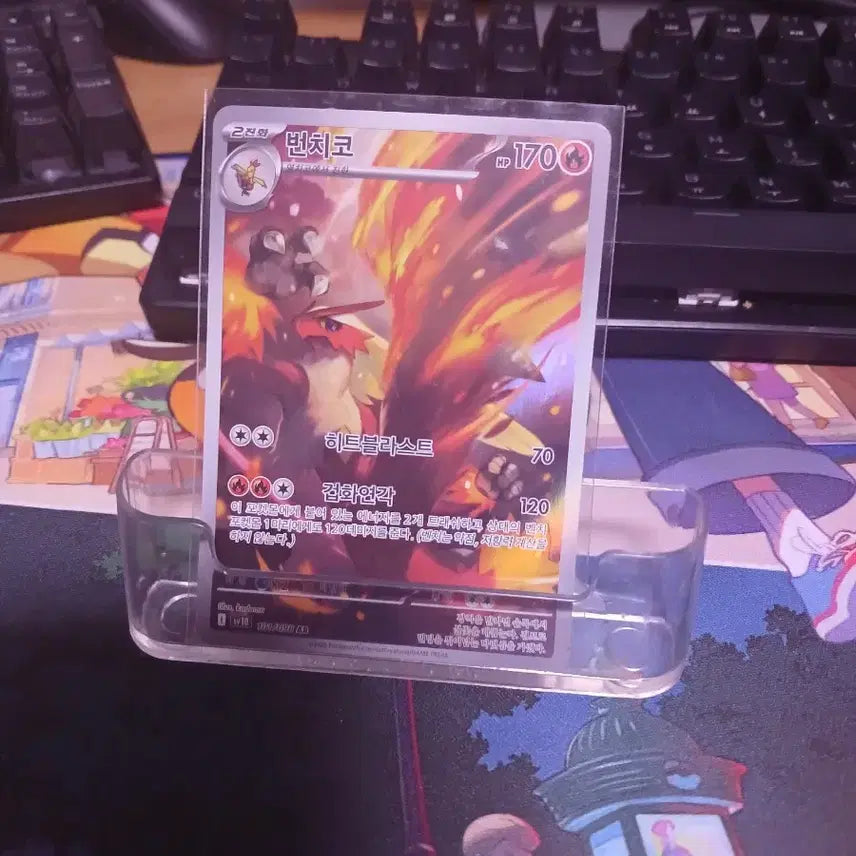 [BUNJANG] Pokemon Card Blaziken AR / 포켓몬 카드 번치코 AR