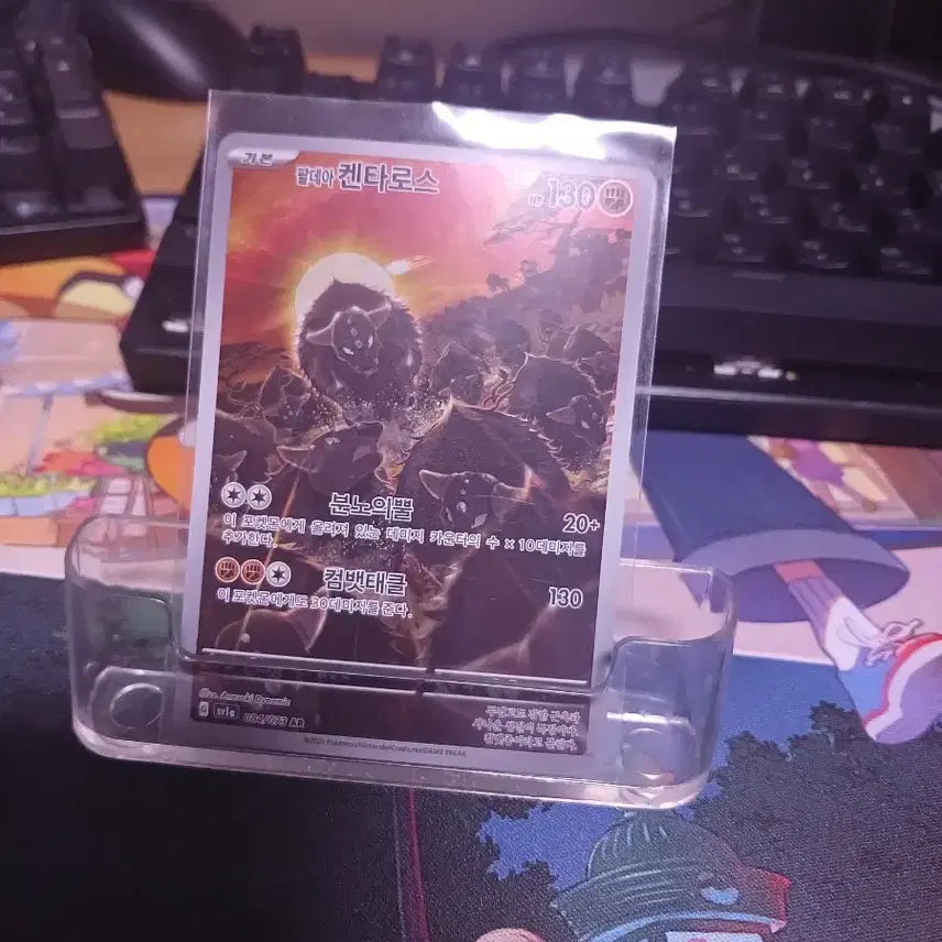 [BUNJANG] Pokemon Card Paldean Tauros AR / 포켓몬 카드 팔데아 켄타로스 AR