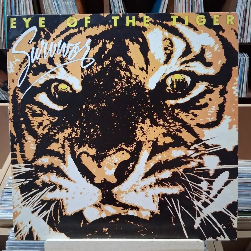 [BUNJANG] Survivor Eye of the Tiger LP / 민트 서바이버 EYE OF THE TIGHER LP 할인