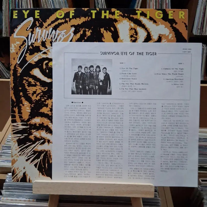 [BUNJANG] Survivor Eye of the Tiger LP / 민트 서바이버 EYE OF THE TIGHER LP 할인