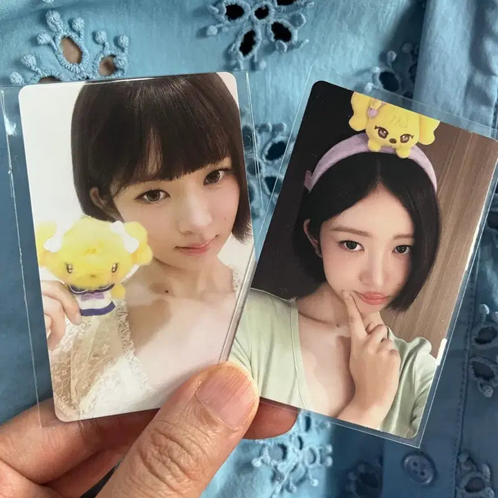 [BUNJANG] IVE MiniBev Everland Rei Bundle Set / 유일매물) 2장 일괄) 당일발송) 아이브 미니브 팝업 에버랜드 레이 포카 포토카드 7만 특전