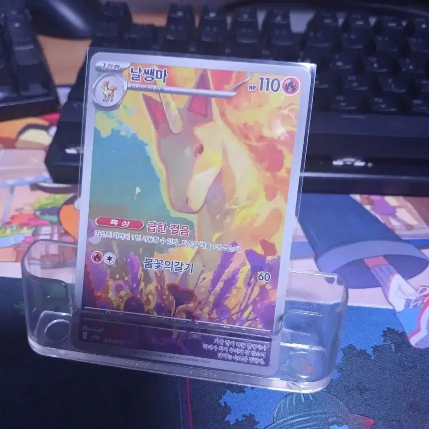 [BUNJANG] Pokemon Card Togetic AR / 포켓몬 카드 날쌩마 AR
