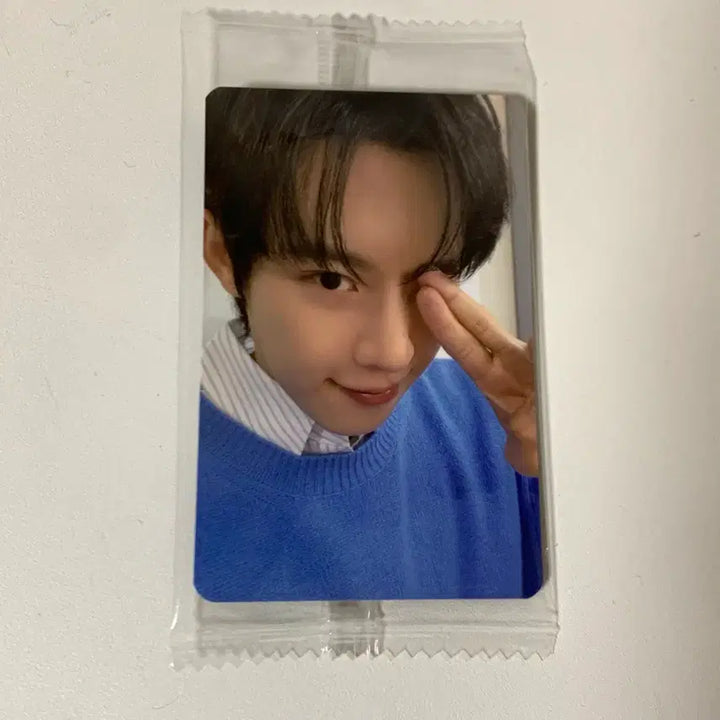 [BUNJANG] Kim Sung Cheol Ketapo Photocard / 김성철 케타포 포카