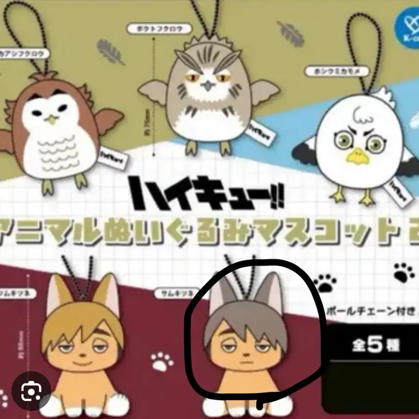 [BUNJANG] Haikyuu!! Animal Mascot Vol. 2 Osamu Nui (Sealed) / 하이큐 애니멀 마스코트 2탄 가챠 오사무 누이 미개봉