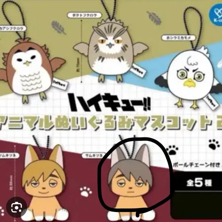 [BUNJANG] Haikyuu!! Animal Mascot Vol. 2 Osamu Nui (Sealed) / 하이큐 애니멀 마스코트 2탄 가챠 오사무 누이 미개봉