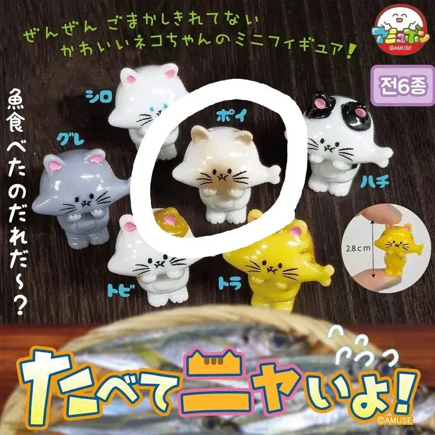[BUNJANG] AmuFun Cat "Didn&