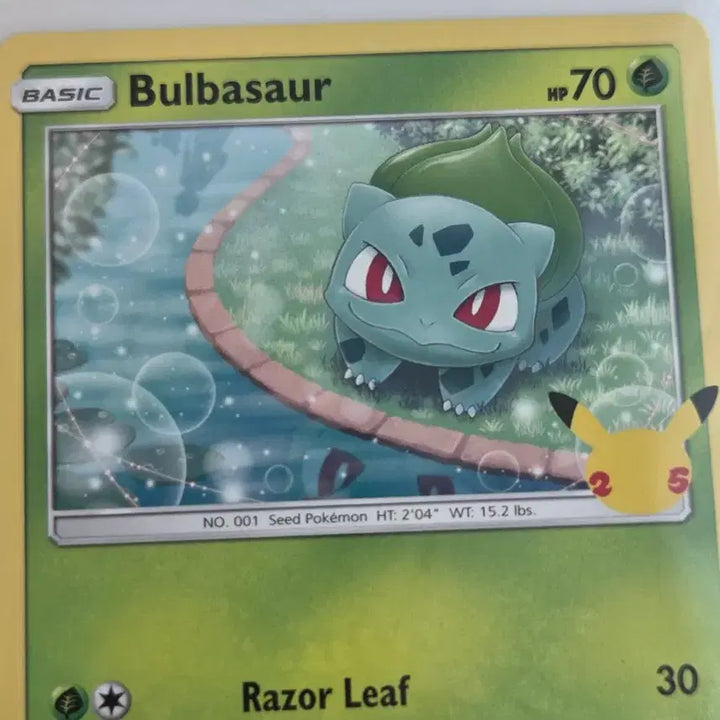 [BUNJANG] Pokemon Bulbasaur 25th Anniversary English Card / 북미/영문 포켓몬 카드 이상해씨 25주년 기념 카드