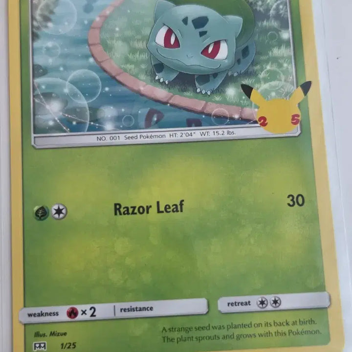 [BUNJANG] Pokemon Bulbasaur 25th Anniversary English Card / 북미/영문 포켓몬 카드 이상해씨 25주년 기념 카드