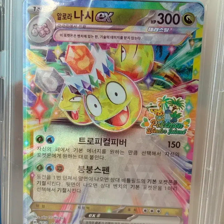 [BUNJANG] Pokemon TCG Unsealed Promo Pack Bundle / 포켓몬카드 미개봉 프로모 팩 판매