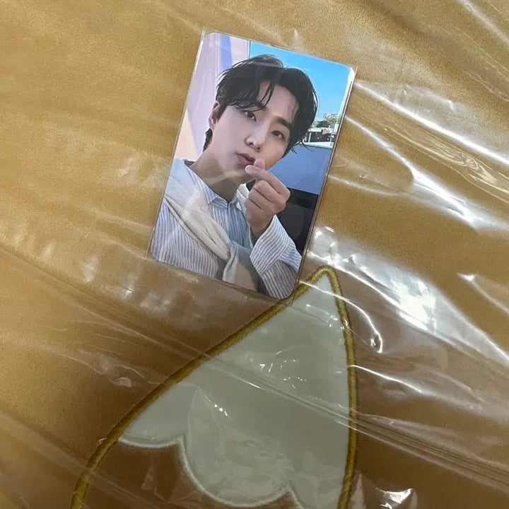 [BUNJANG] Day6 Pier 10 Fanmeeting Denimals Petitmalz Cushion K Young K Photocard MD / 데이식스 피어텐 팬미팅 데니멀즈 쁘띠멀즈 방석 케 영케이 포카 엠디