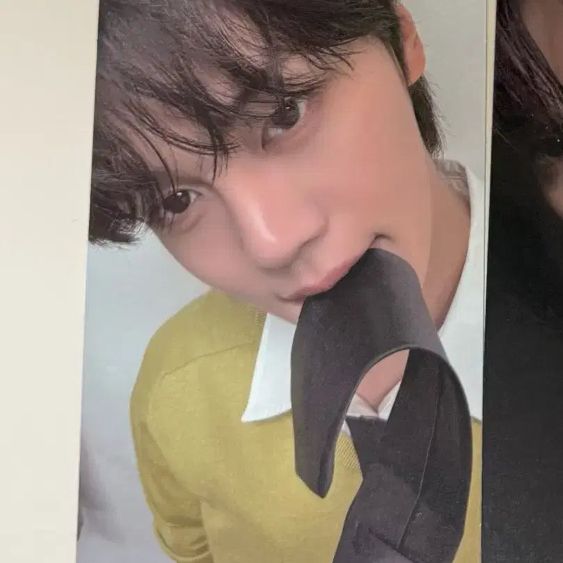 [BUNJANG] BOYNEXTDOOR Kim Gyuvin M2U Lucky Draw Photocard / 앤더블 김규빈 물었타이 포카 양도 엠투유 엠투유레코드