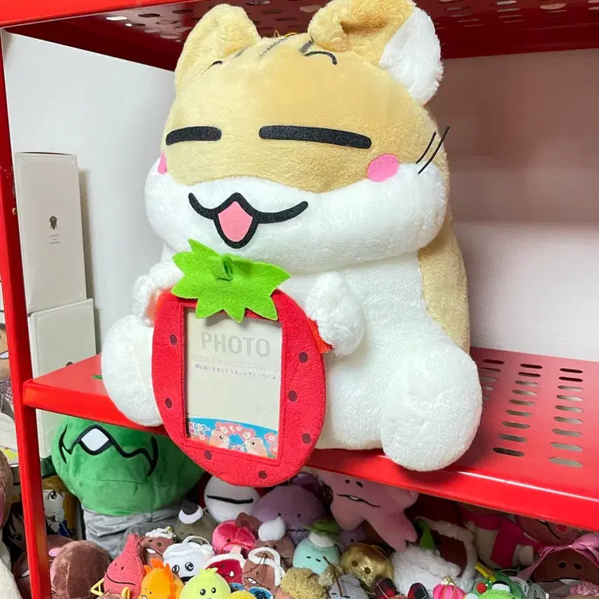 [BUNJANG] Hamster Club Hamtori Strawberry Frame Doll / 대형]햄스터클럽 햄토리 딸기 액자 인형