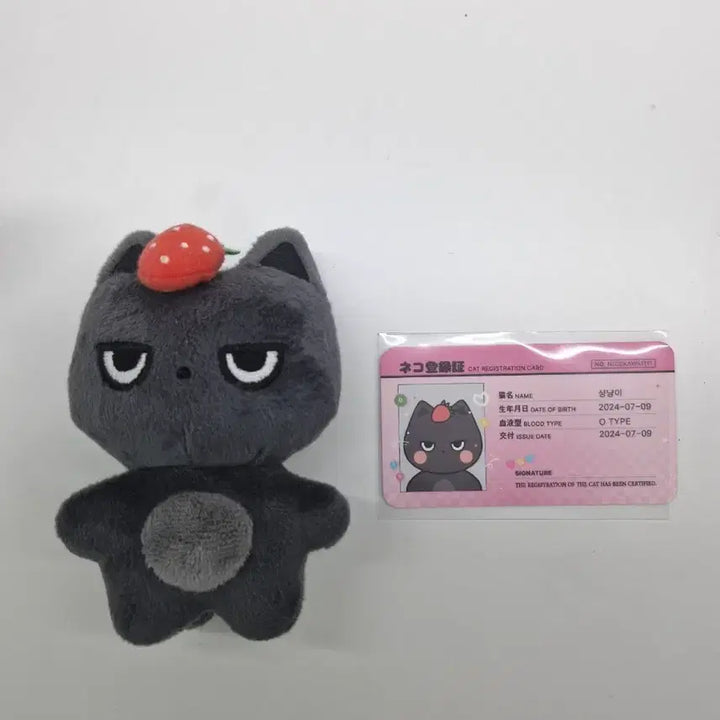 [BUNJANG] &amp;TEAM Nicholas "Shangnyang" 10cm Plush Doll Bundle / &amp;TEAM  앤팀 니콜라스 인형 샹냥이 판매 양도