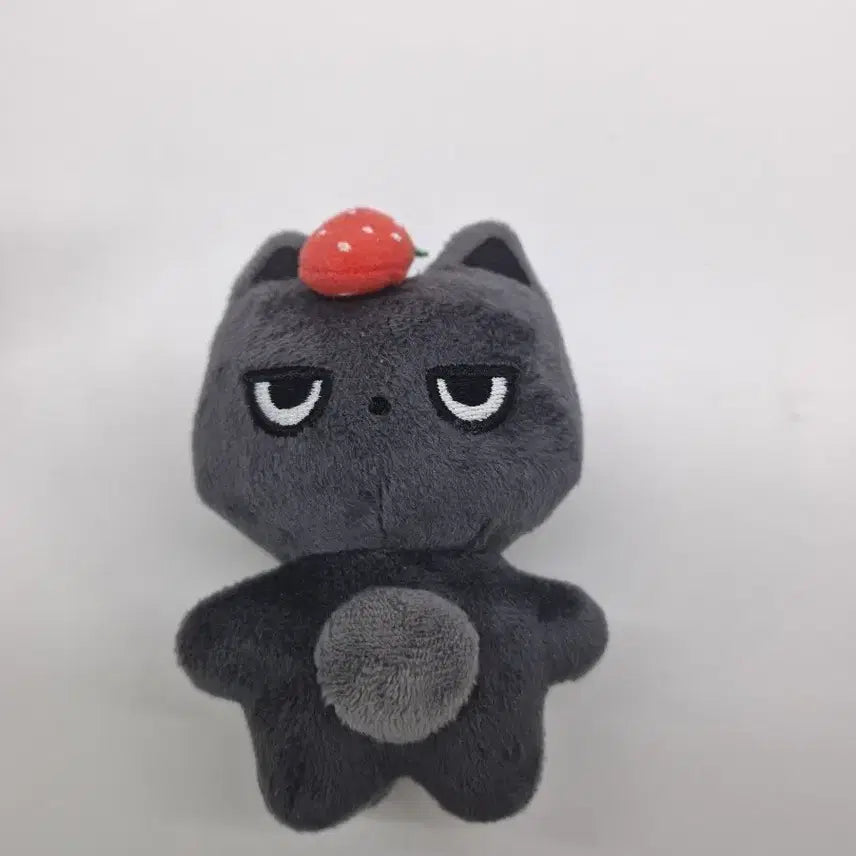 [BUNJANG] &amp;TEAM Nicholas "Shangnyang" 10cm Plush Doll Bundle / &amp;TEAM  앤팀 니콜라스 인형 샹냥이 판매 양도