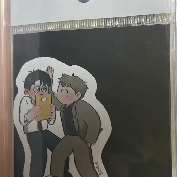 [BUNJANG] Hongsil Quest Sticker Film Photo Bundle Set / 홍실퀘스트 스티커 필름사진 일괄