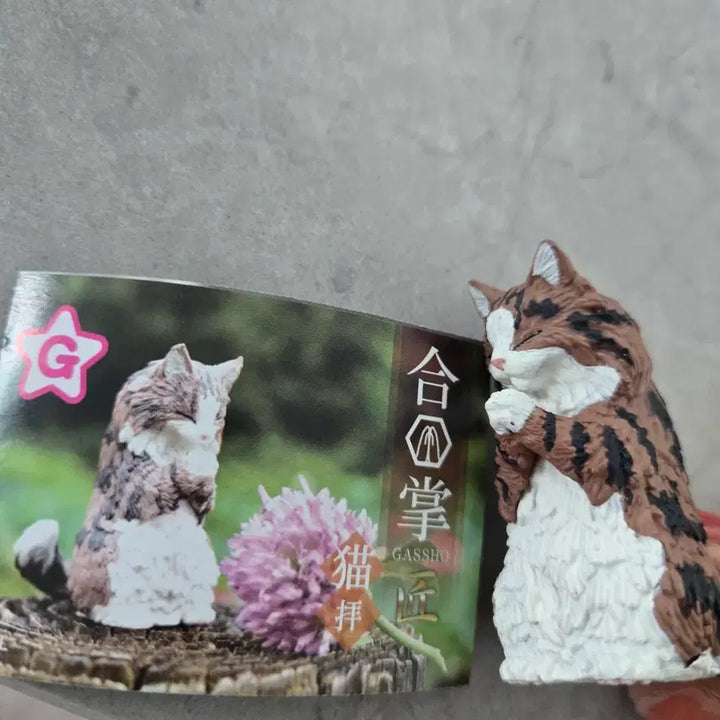 [BUNJANG] Norwegian Forest Cat Gacha Figure / 노르웨이숲 고양이 가챠