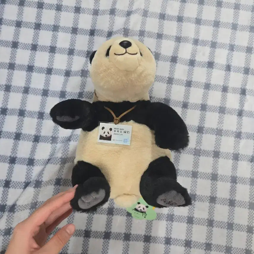 [BUNJANG] Bao Family Pusan Official Doll / (가격고정)바오패밀리 푸사원 인형 판매합니다 급처