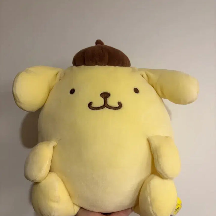 [BUNJANG] Sanrio Pompompurin Plush / 산리오 폼폼푸린 인형