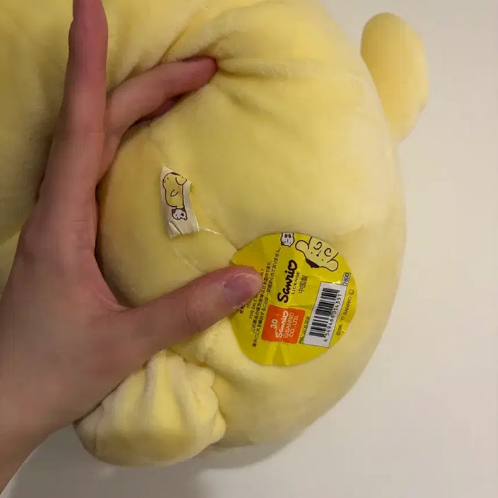 [BUNJANG] Sanrio Pompompurin Plush / 산리오 폼폼푸린 인형