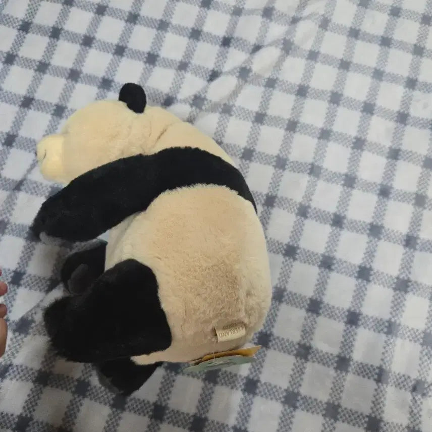 [BUNJANG] Bao Family Pusawon Doll / (가격고정)바오패밀리 푸사원 인형 판매합니다 급처