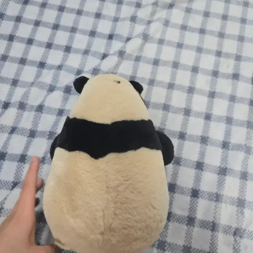 [BUNJANG] Bao Family Pusawon Doll / (가격고정)바오패밀리 푸사원 인형 판매합니다 급처