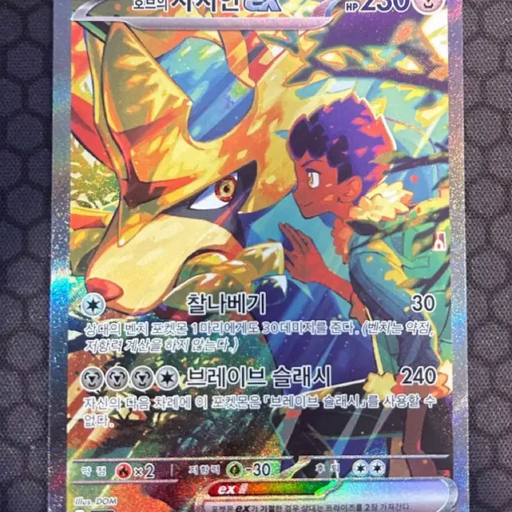 [BUNJANG] Pokemon Card Zamazenta EX SAR S-Class / 포켓몬카드 호브의 자시안 EX sar s급