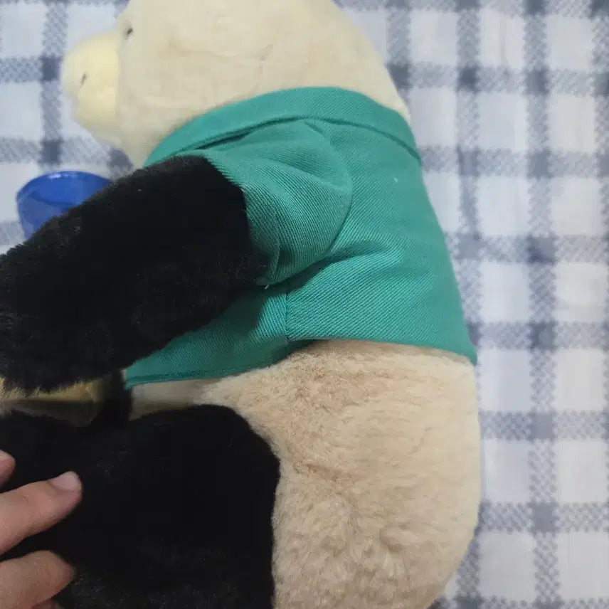 [BUNJANG] Bao Family Fu Bao Keeper Doll / 바오패밀리 푸바오 사육사 인형 판매합니다 급처