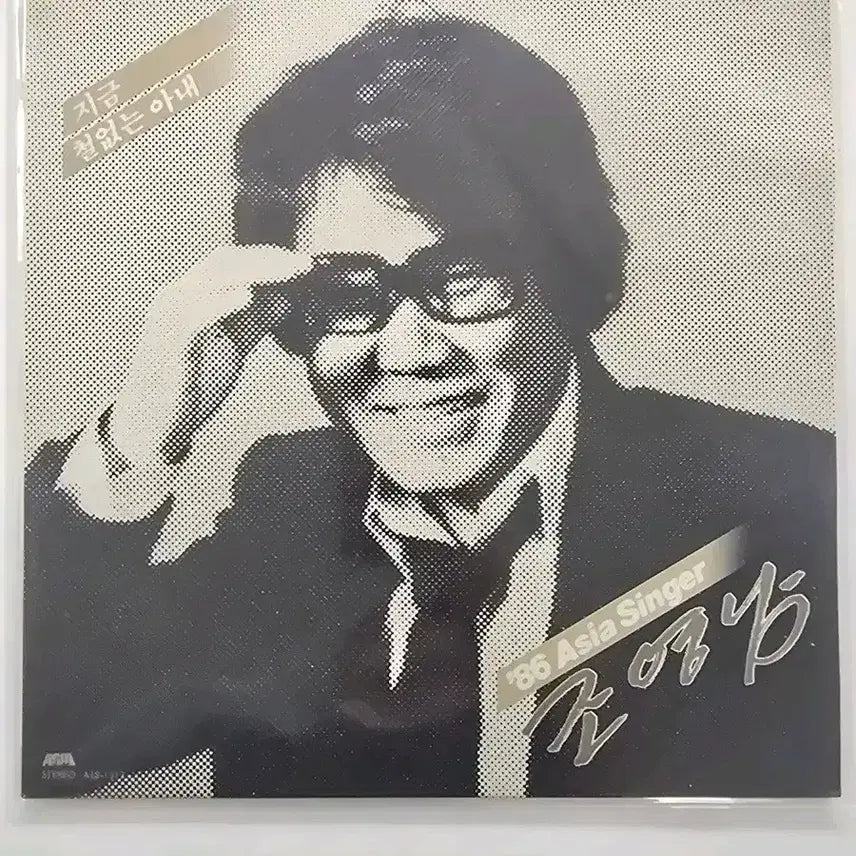 [BUNJANG] Cho Young Nam LP / 조영남 LP / NM