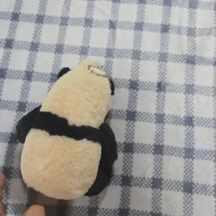 [BUNJANG] Bao Family FuBao Plush Doll / 바오패밀리 푸바오 인형 판매합니다 급처