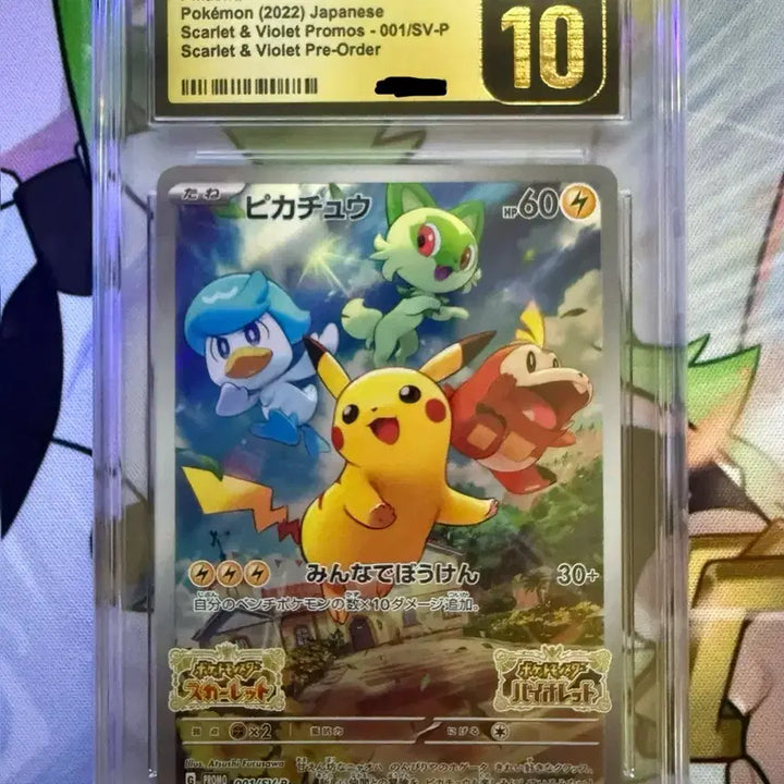 [BUNJANG] Pokemon Pikachu Sychu Promo CGC 10 Pristine Japanese / 포켓몬카드 피카츄 스바츄 프로모 CGC10 프리스틴 일판