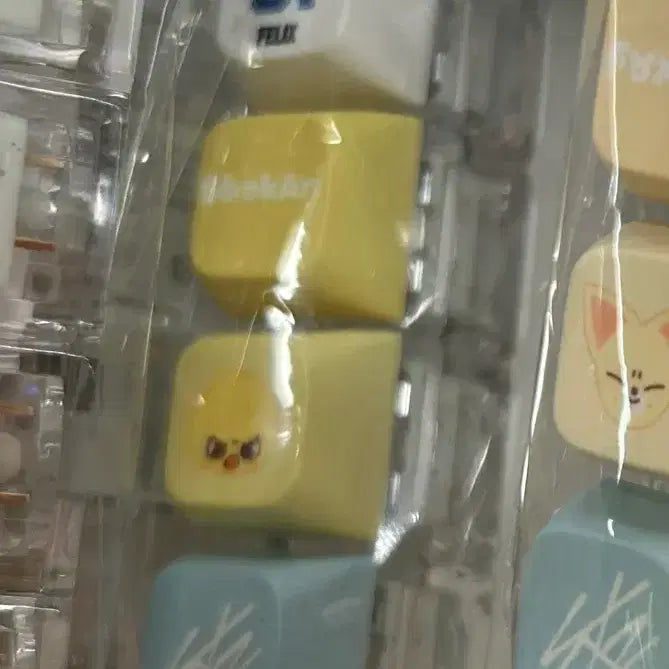 [BUNJANG] Karma Keycap Keyring &