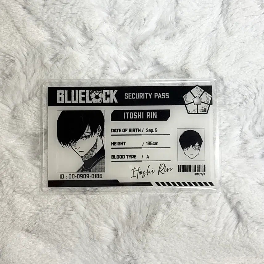[BUNJANG] Blue Lock Itoshi Rin ID Card - Anime Art Exhibition Animate Collaboration / 블루록 아이디카드 이토시 린ㅣ원화전애니메이트콜라보팝업스토어카페아크릴포카id포토카드이사기카이저사에바치라나기레오넨도룩업피규어a상누이캔뱃지특전굿즈공구