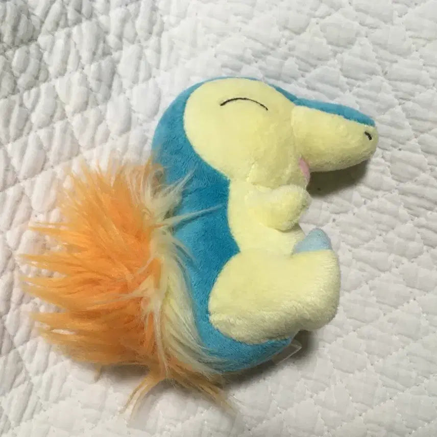 [BUNJANG] Pokemon Canvas Plush Charmander / 포켓몬 캔버스 인형 브케인