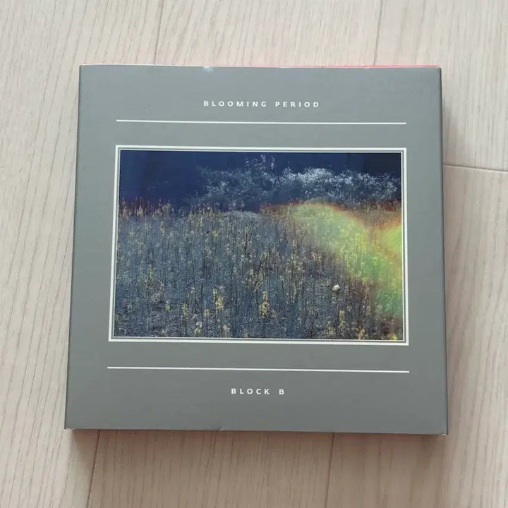 [BUNJANG] Block B Mini Album Blooming Period B-Bomb Photocard / [블락비] 미니 앨범 Blooming Period / 비범 포카