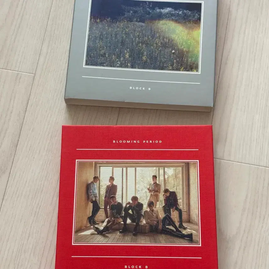 [BUNJANG] Block B Mini Album Blooming Period B-Bomb Photocard / [블락비] 미니 앨범 Blooming Period / 비범 포카