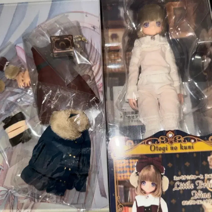 [BUNJANG] AZONE Nina AZONE Doll / 아존돌 니나 아존