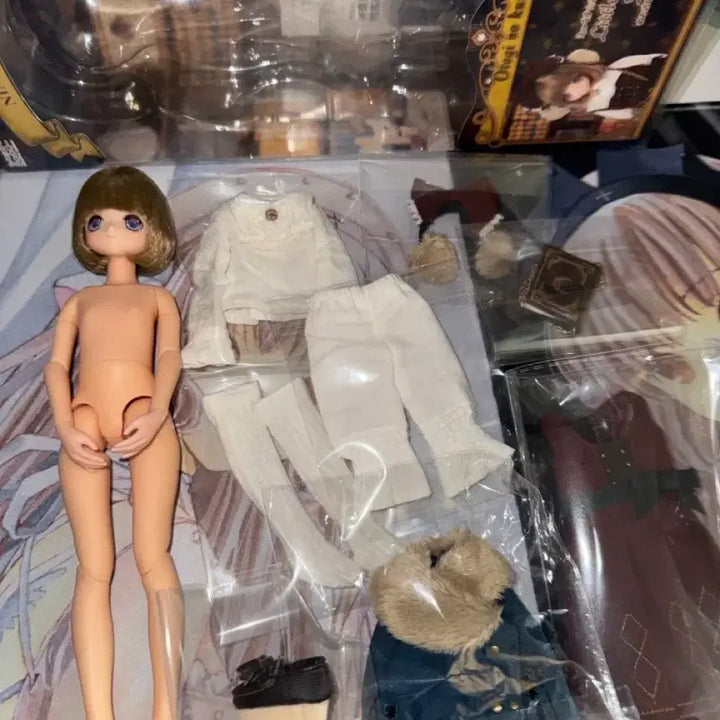 [BUNJANG] AZONE Nina AZONE Doll / 아존돌 니나 아존