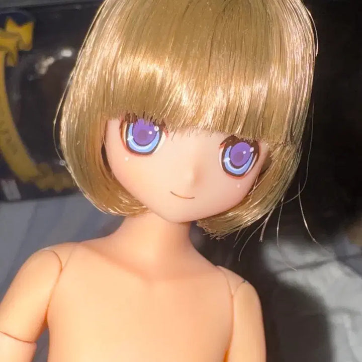[BUNJANG] AZONE Nina AZONE Doll / 아존돌 니나 아존