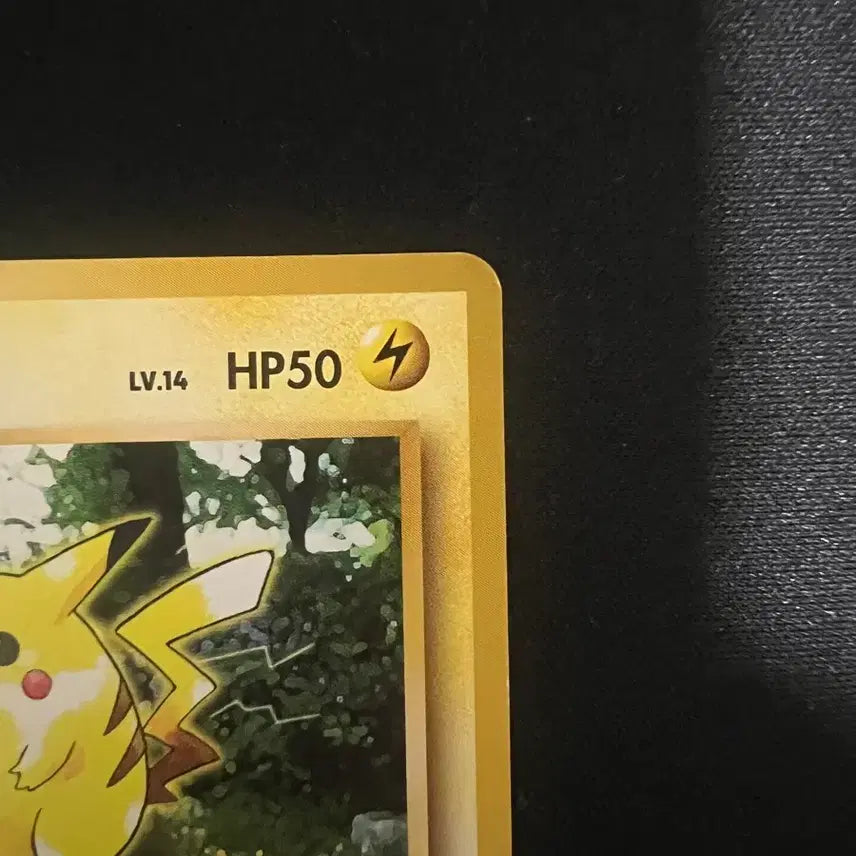 [BUNJANG] Pokemon Card Vintage Old Back Pikachu 