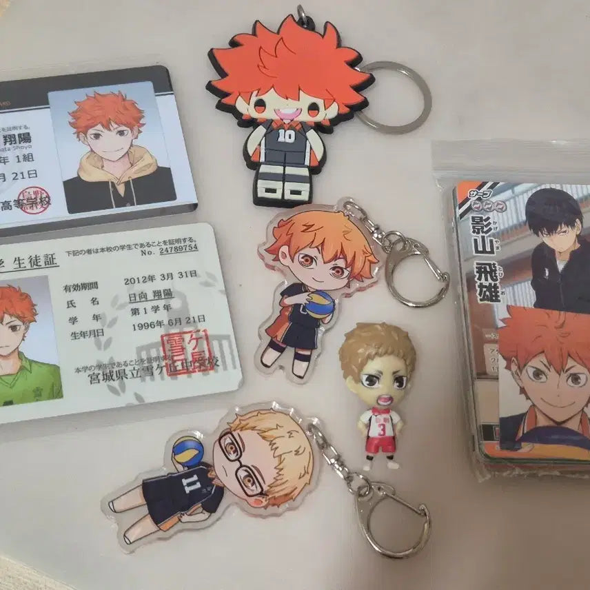 [BUNJANG] Haikyuu!! Student ID, Keychain, Figure, Card Bundle / 하이큐 학생증, 열쇠고리, 피규어, 카드 일괄
