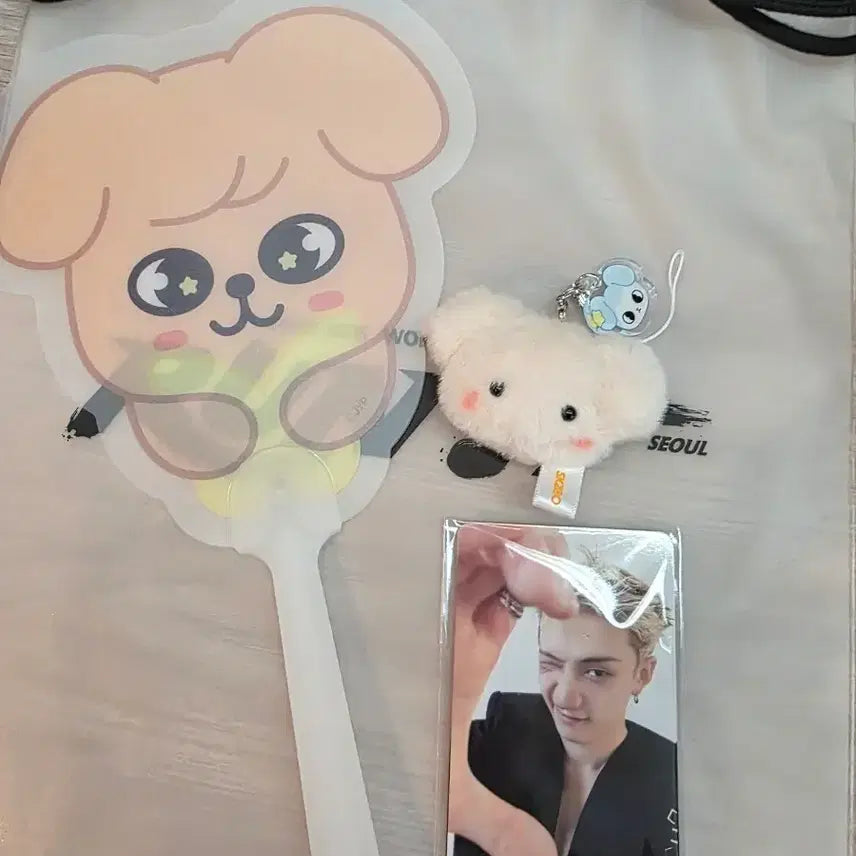 [BUNJANG] Stray Kids Run It Concert PERMFIRM Entry Kit Set / 스트레이키즈 런잇  콘서트 퍼핌 입장 키트 세트