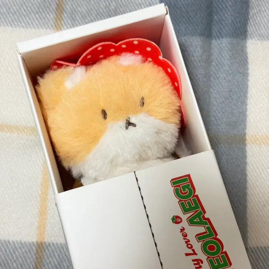 [BUNJANG] Sealed 10cm Plush Doll / 터래기 10cm 팝니다