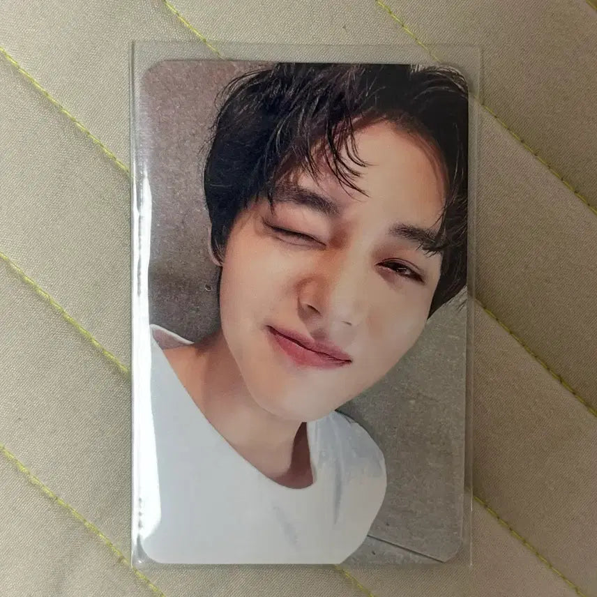[BUNJANG] Park Ji Hoon Mamute D&
