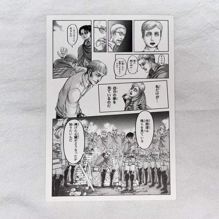 [BUNJANG] Attack on Titan Exhibition Special Edition Elvin Postcard / 진격의거인 전시회 특전 엽서 엘빈