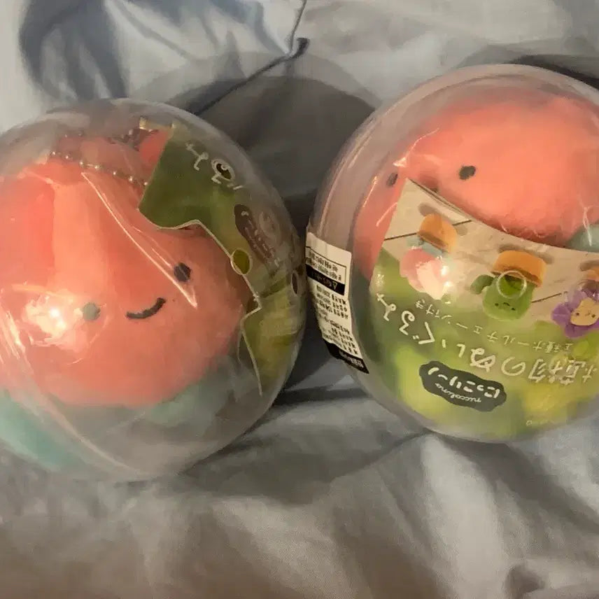 [BUNJANG] Nikorino Plant Plush Keychain / 니코리노 식물 봉제 인형 랜덤 가챠 키링