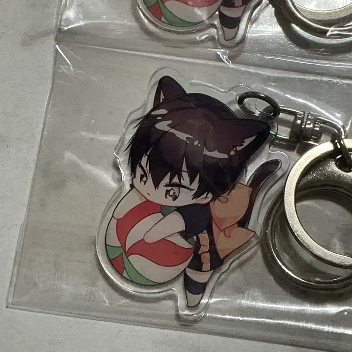 [BUNJANG] Haikyuu!! Kageyama Sugawara Keyring / [하이큐] 카게야마 스가와라 키링