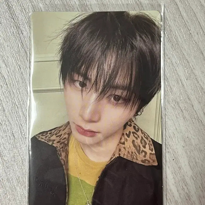 [BUNJANG] BOYNEXTDOOR Taesan Photocard / 보넥도 태산 포카