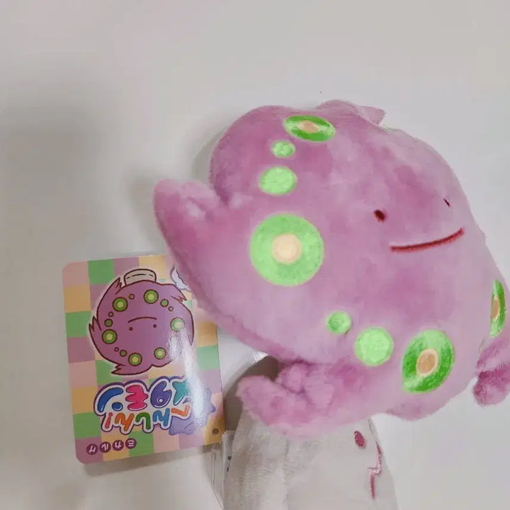 [BUNJANG] Pokemon Transform Ditto Rockruff Plush (Medium) / 포켓몬스터 변신 메타몽 화강돌