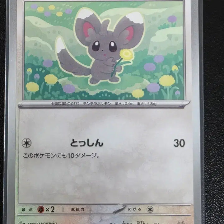 [BUNJANG] Pokemon Card Chirami C Ninja Spinner (Japanese) / 포켓몬 카드 치라미 C 닌자 스피너 (일어판)