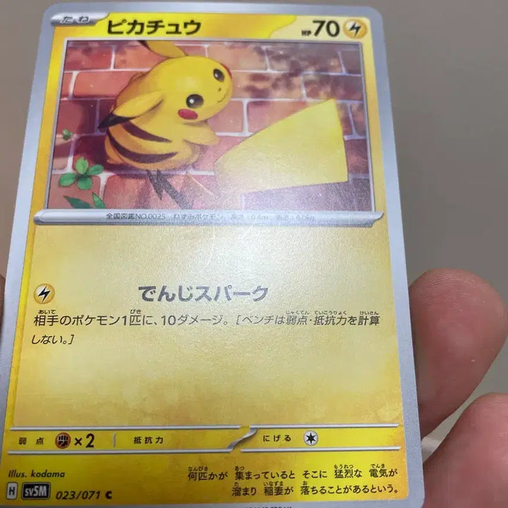[BUNJANG] 2024 Japan Pikachu Pokemon Card / 2024 일판 피카츄 포켓몬카드